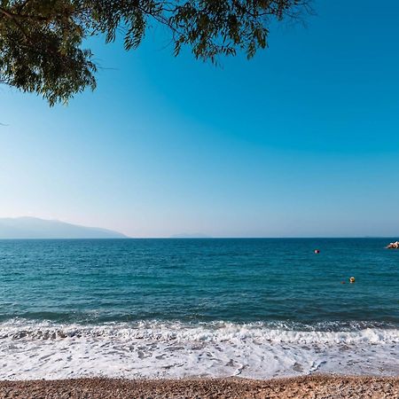 Mazarine Hotel, Vlore, Albania Radhimë エクステリア 写真